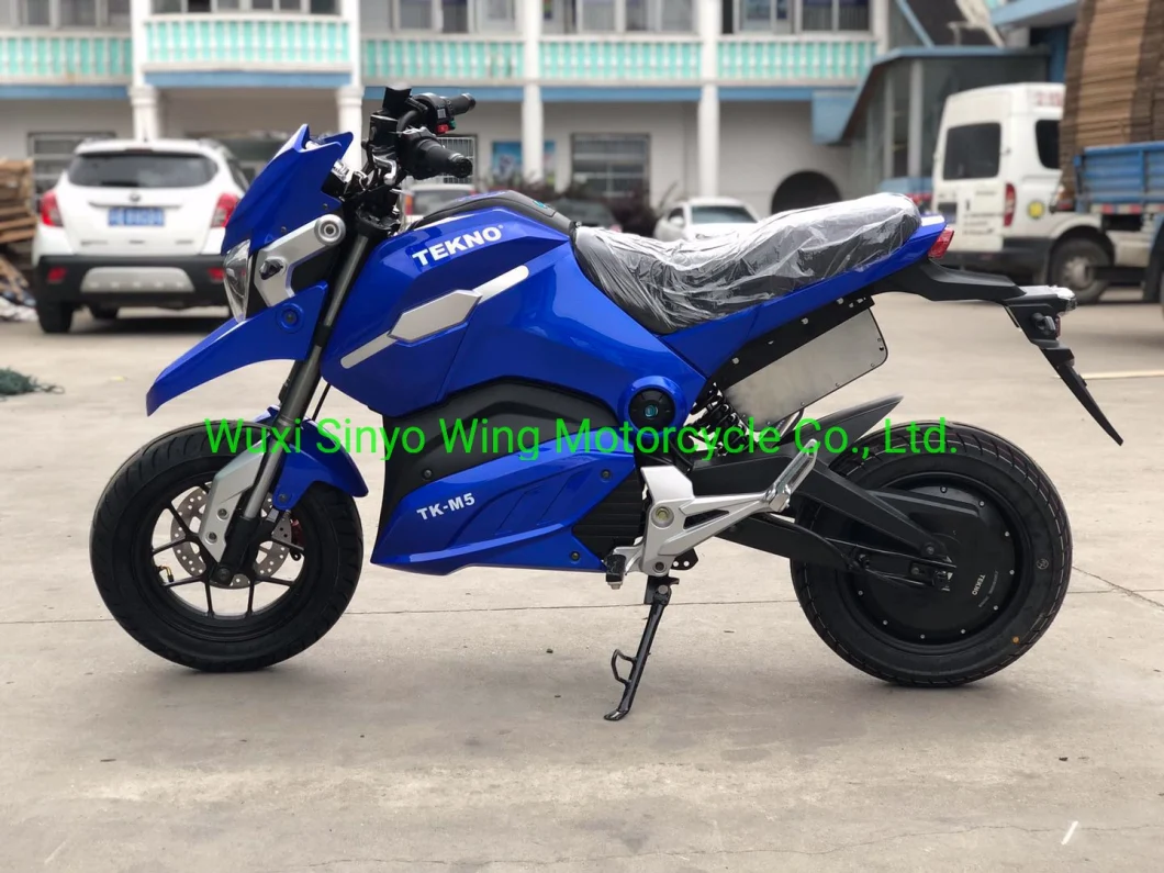 M5 Cheap 2500W E-Racing Motorcycle & Electric Racing Motorcycle Lithium Battery