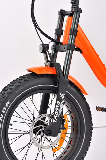 セントラルカーゴモーター付き3輪ヘビーデューティ電動三輪車、大人用カスタマイズ電動三輪車