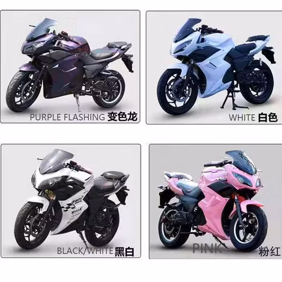 2023 EEC Coc L3e 高速 160km/h 電動ロードバイク オフロードバイク