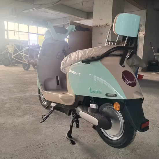 Flymate 高速割引 1500 ワットオートバイ新デザイン電動レーシングバイク電動スクーター大人用