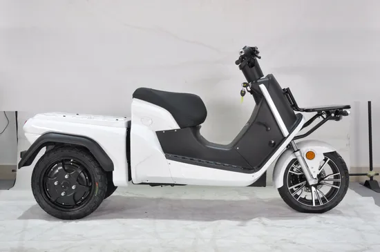 Ridder Electric テイクアウトフードデリバリースクーター、取り外し可能なデュアルバッテリー付き